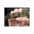 Shad Westin ShadTeez 12cm Crazy Firetiger