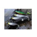 Shad Westin ShadTeez 12cm Crazy Firetiger Shad Westin ShadTeez 12cm Crazy Firetiger