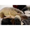 Swimbait FOX RAGE Replicant Jointed - New Colours, Original Stickleback, 23cm, 150g