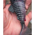 Swimbait Fox Rage Replicant Jointed, Ghost Ayu UV, 18cm/7inch, 80g Swimbait Fox Rage Replicant Jointed, Ghost Ayu UV, 18cm/7inch, 80g