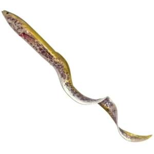 Swimbait SAVAGE GEAR Real EEL, Chameleon Eel, 40cm, 147g, 1buc/pac Swimbait SAVAGE GEAR Real EEL, Chameleon Eel, 40cm, 147g, 1buc/pac