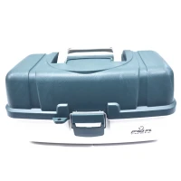 Cutie Plastic Pro Fl Cu Sertare Si Inchidere 44x24x20cm 
