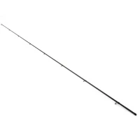 Varf FORMAX Aries Cast 2.58m, 40-80g