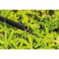 Varga RIVE R Whip 3.50m, 5seg Varga RIVE R Whip 3.50m, 5seg