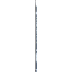 Varga Lineaeffe Carbon Artistic Pole 6.00m