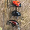Set 3 Voblere Salmo Chub Pack