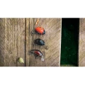 Set 3 Voblere Salmo Chub Pack Set 3 Voblere Salmo Chub Pack