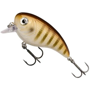 Vobler BERKLEY Pulse Biggie, Goldie, 6cm, 16g, 1buc/pac Vobler BERKLEY Pulse Biggie, Goldie, 6cm, 16g, 1buc/pac