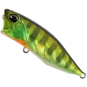 Vobler DUO Realis Popper 64, AJA3055 Chart Gill Halo, 6.4cm, 9g Vobler DUO Realis Popper 64, AJA3055 Chart Gill Halo, 6.4cm, 9g