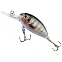 Vobler JAXON Atract Aris Floating, Culoare M, 4.8g, 4cm, 1buc/pac