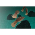 Vobler Jackall Chibi Panicra DR, Kobucha, 2.5cm, 1.4g Vobler Jackall Chibi Panicra DR, Kobucha, 2.5cm, 1.4g