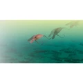 Vobler Jackall Panicra DR, Tackey Glow, 3.2cm, 3.6g Vobler Jackall Panicra DR, Tackey Glow, 3.2cm, 3.6g
