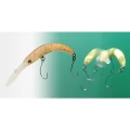 Vobler Jackall Pepino SR, Takey Brown Orange, 5.6cm, 2.2g Vobler Jackall Pepino SR, Takey Brown Orange, 5.6cm, 2.2g