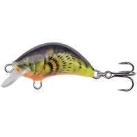 Vobler Kenart Hunter Floating Clean, Bullhead Fluo, 2.5g, 3cm