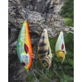 Vobler SALMO Fatso Floating, Holo Tiger, 10cm, 48gr, 1buc/pac