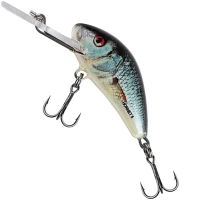 Vobler Salmo Hornet Floating, Real Dace, 3.5cm, 2.6gr, 1buc/pac