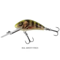 Vobler SALMO Hornet Floating, Real Identity Perch, 4cm, 3.1gr, 1buc/pac