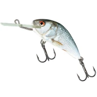 Vobler Salmo Hornet New Color, Real Dace, 6cm, 10g Vobler Salmo Hornet New Color, Real Dace, 6cm, 10g