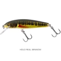 Vobler SALMO Minnow, Holo Real Minnow, 5cm, 3.3g,1buc/pac