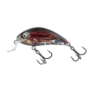 Vobler Salmo Rattlin' Hornet Floating - Real Cockchafer, 3.5cm, 5.5g 