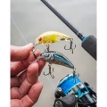 Vobler Salmo Rattlin Hornet Shallow, Clear Ayu, 4.5cm, 5.5g  Vobler Salmo Rattlin Hornet Shallow, Clear Ayu, 4.5cm, 5.5g