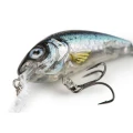Vobler Salmo Rattlin Hornet Shallow, Clear Holo Smelt, 3.5cm, 3g  Vobler Salmo Rattlin Hornet Shallow, Clear Holo Smelt, 3.5cm, 3g