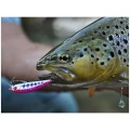 Vobler DUO Ryuki 38S 3.8cm 2.8g CCC3815 Brown Trout S Vobler DUO Ryuki 38S 3.8cm 2.8g CCC3815 Brown Trout S