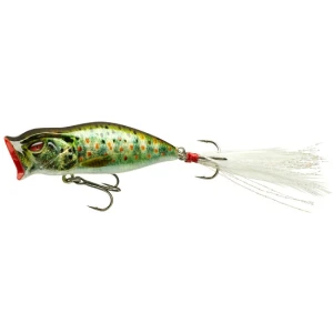 Vobler Daiwa Prorex Mini Popper Live Brown Trout 5.5cm 5.7g Vobler Daiwa Prorex Mini Popper Live Brown Trout 5.5cm 5.7g