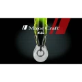 Vobler MAJOR CRAFT Finetail Eden 50S, Lime Chart Yamame, 5cm, 4.5g Vobler MAJOR CRAFT Finetail Eden 50S, Lime Chart Yamame, 5cm, 4.5g
