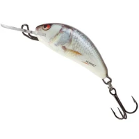 Vobler Salmo Hornet New Color, Real Dace, 2.5cm, 1.5g