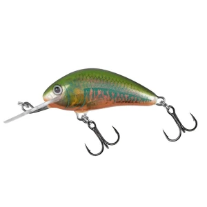 Vobler Salmo Hornet Sinking Holo Oikawa 5cm, 7g Vobler Salmo Hornet Sinking Holo Oikawa 5cm, 7g