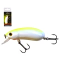 Vobler WIZARD Bandit Rattle Crank, Slow-Sinking, Culoare WY, 5.5cm, 10g, 1buc/pac Vobler WIZARD Bandit Rattle Crank, Slow-Sinking, Culoare WY, 5.5cm, 10g, 1buc/pac